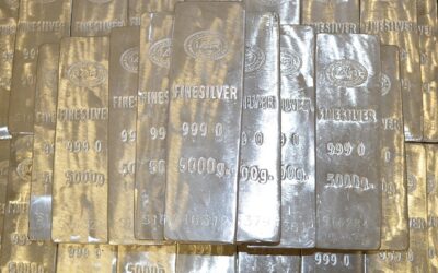 Vizsla Silver investiert in Prismo Metals