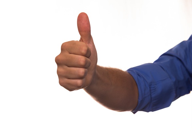Aurelian Immobilien Verwaltungs GmbH – Kleiner Gewinn!