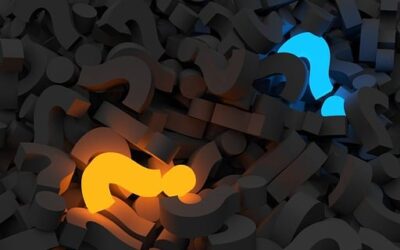 40 Tote – und der Barbesitzer ist wieder frei?